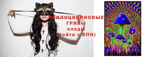 дмт Новодвинск