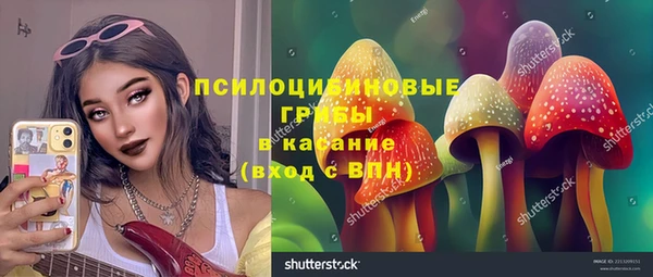 ALPHA PVP Алексеевка